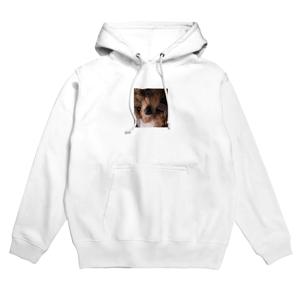 Kametyannのドアップちゃん Hoodie