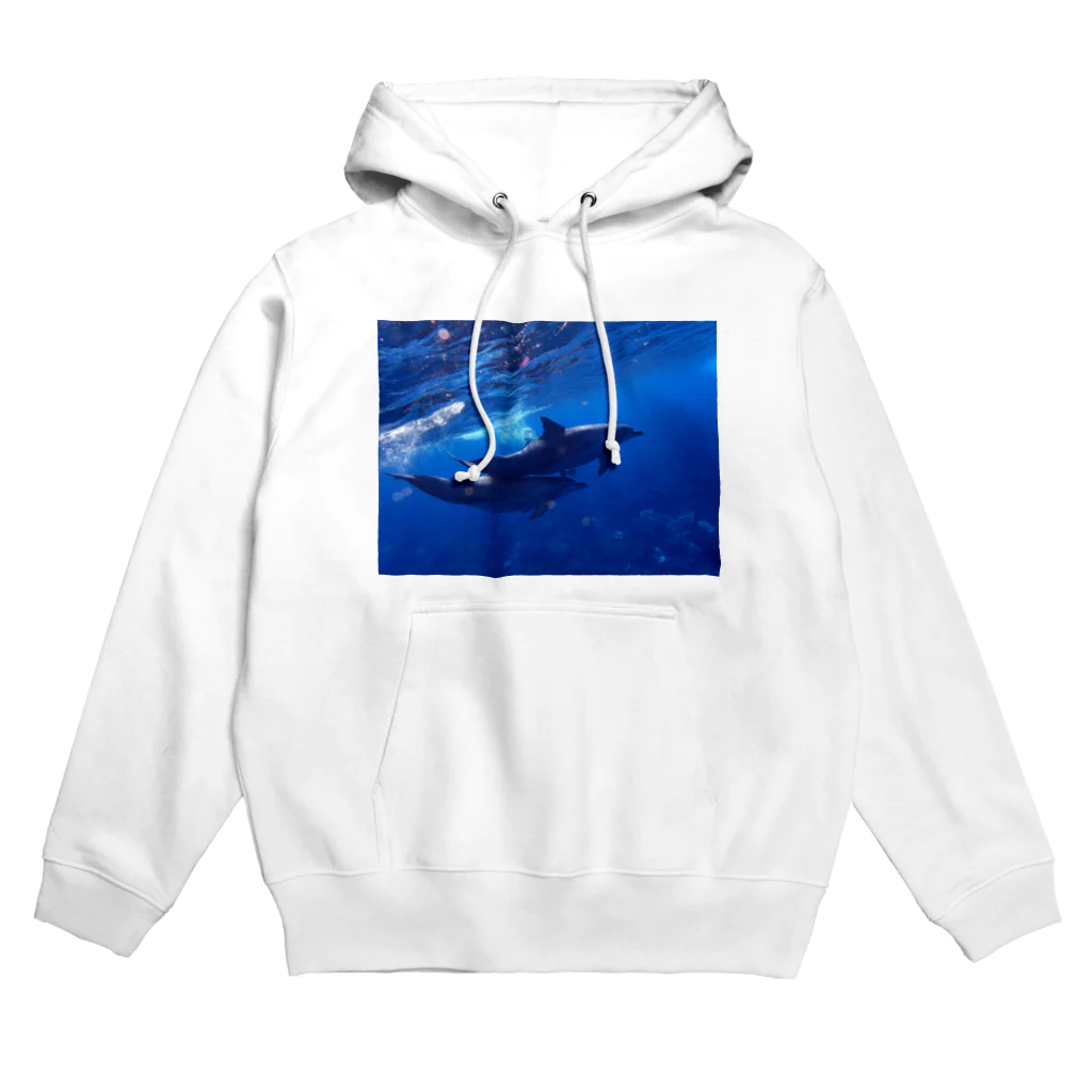 kaisentaitooru2020のDS海潜隊　イルカ Hoodie