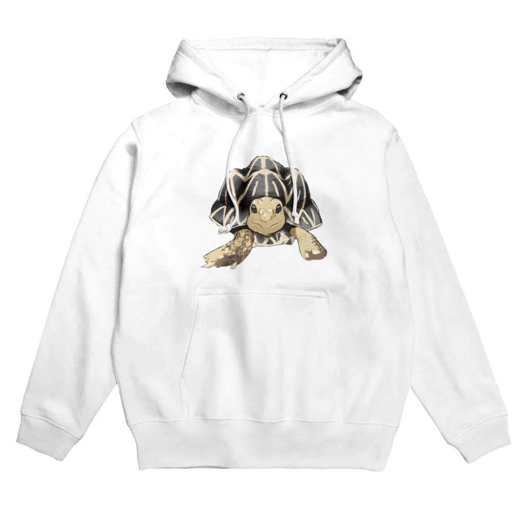 カメまる子🐢のインドホシガメ〜カメコくん〜 Hoodie