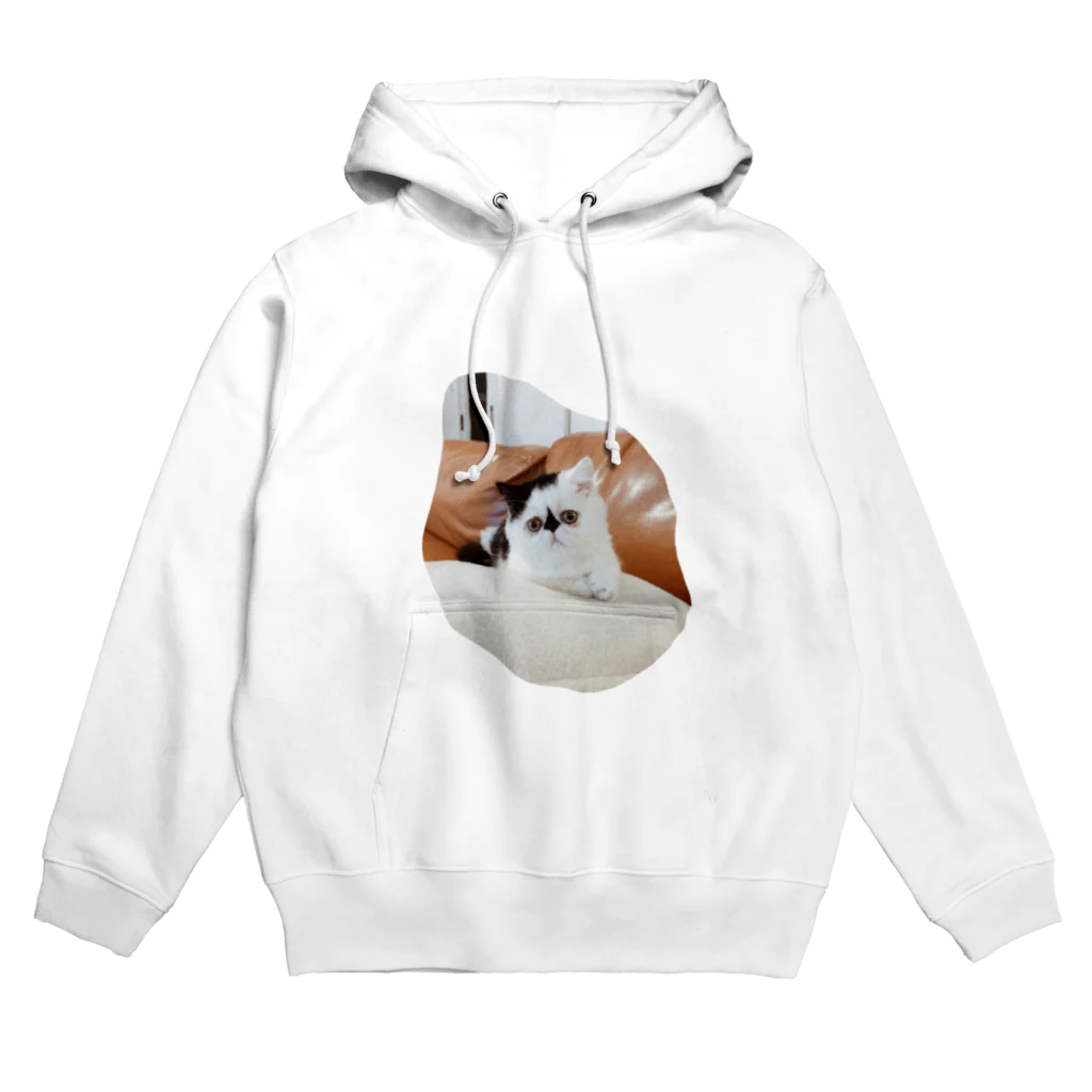 うちの猫はボムといいますのやんちゃだった生後3ヶ月のボム Hoodie