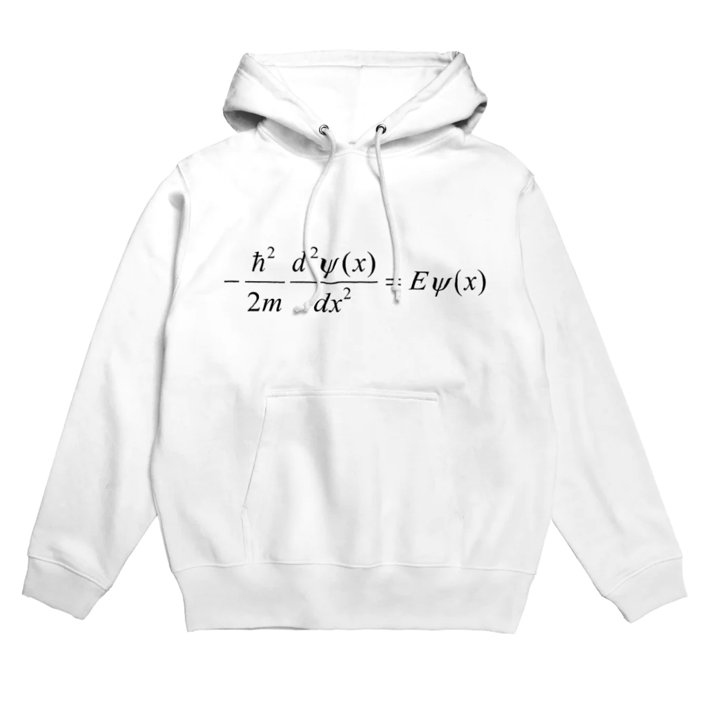 FCLBRの1次元の時間を含まないシュレディンガー方程式 Hoodie