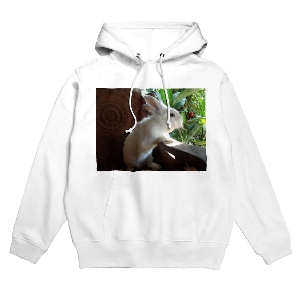 うさぎ×３のうさぎさん Hoodie