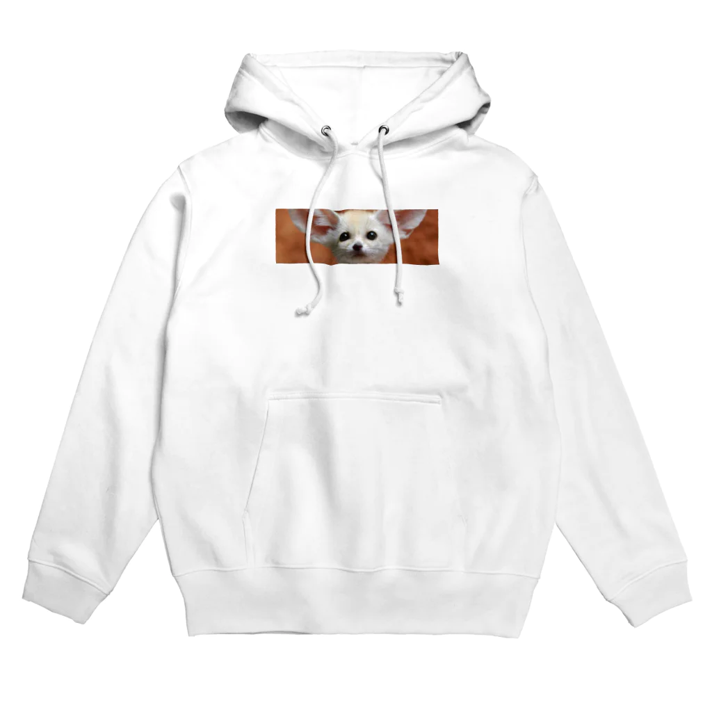 BRANDのアニマルズ♫ Hoodie