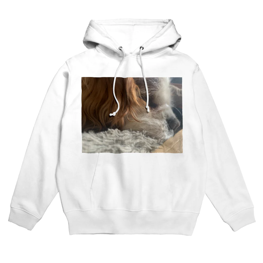 wanwantyaのすやすやいぬ Hoodie