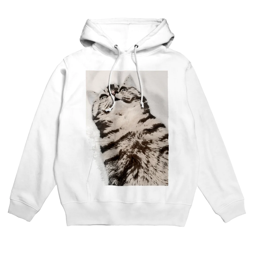 焼きマンゴスチンの見下ろし猫ウェア Hoodie