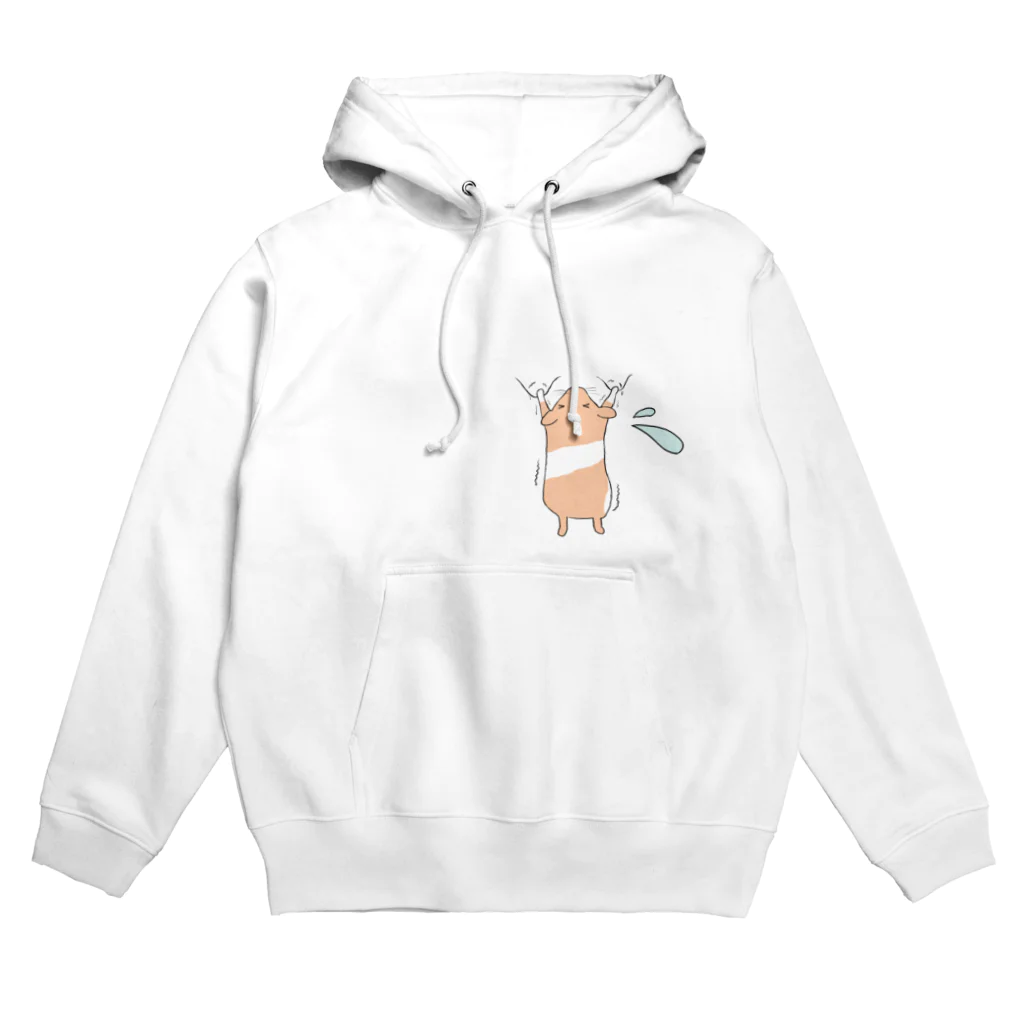 ライオンの落ちそう‼ハムスター君‼️ Hoodie