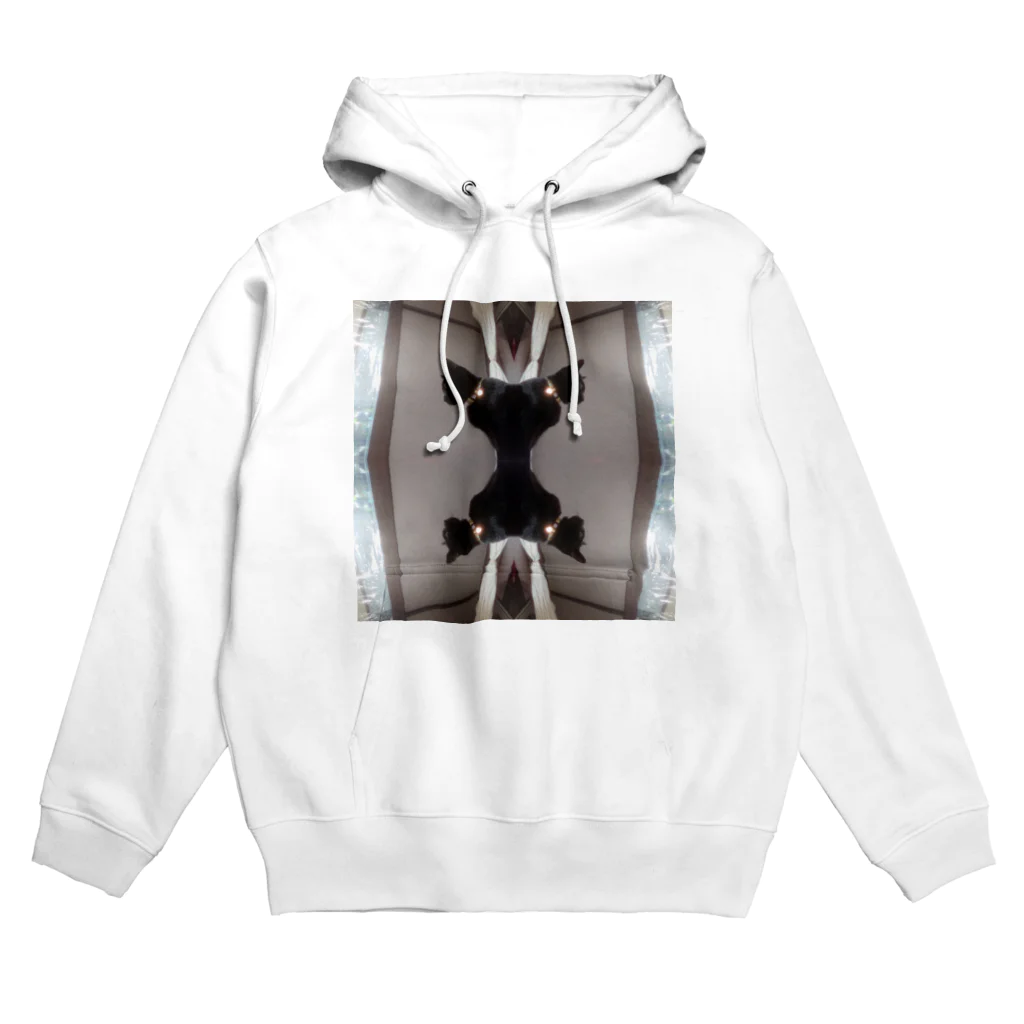 猛毒おひたしの鏡猫 Hoodie