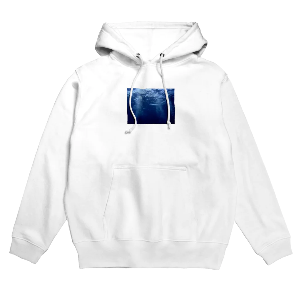 カイジュウの海の中の話 Hoodie