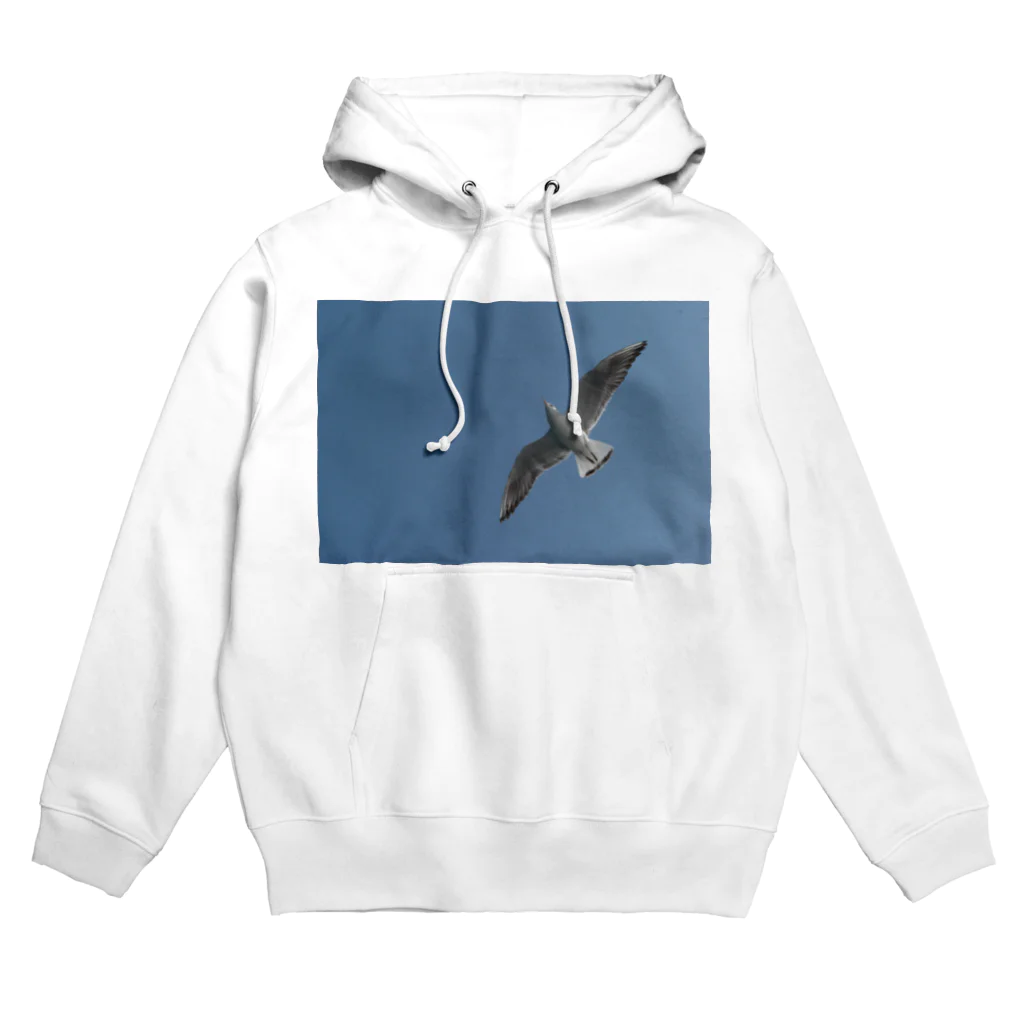 VIRVAの浮遊するカモメ Hoodie