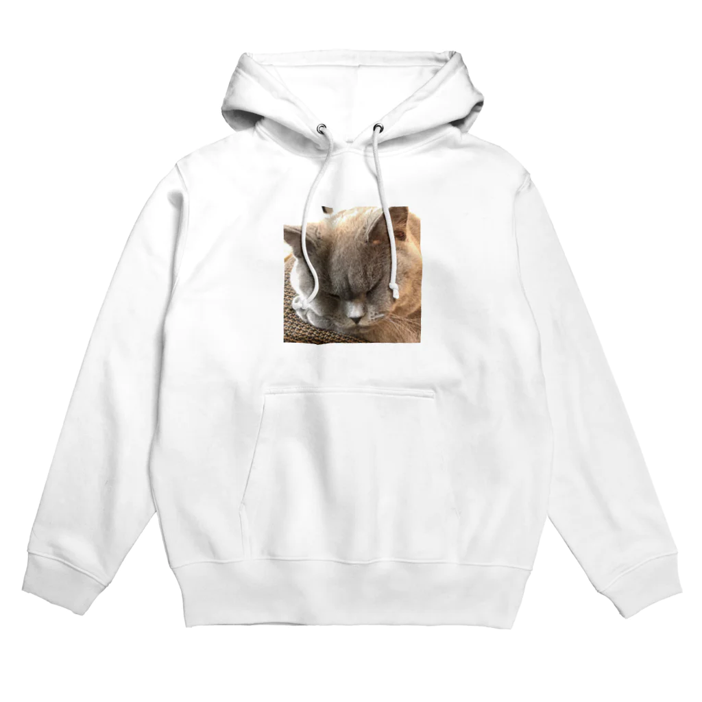 ブリティッシュぶるーの男梅ネコ Hoodie