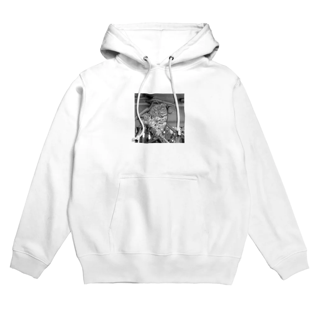 なんとな。のぱ Hoodie