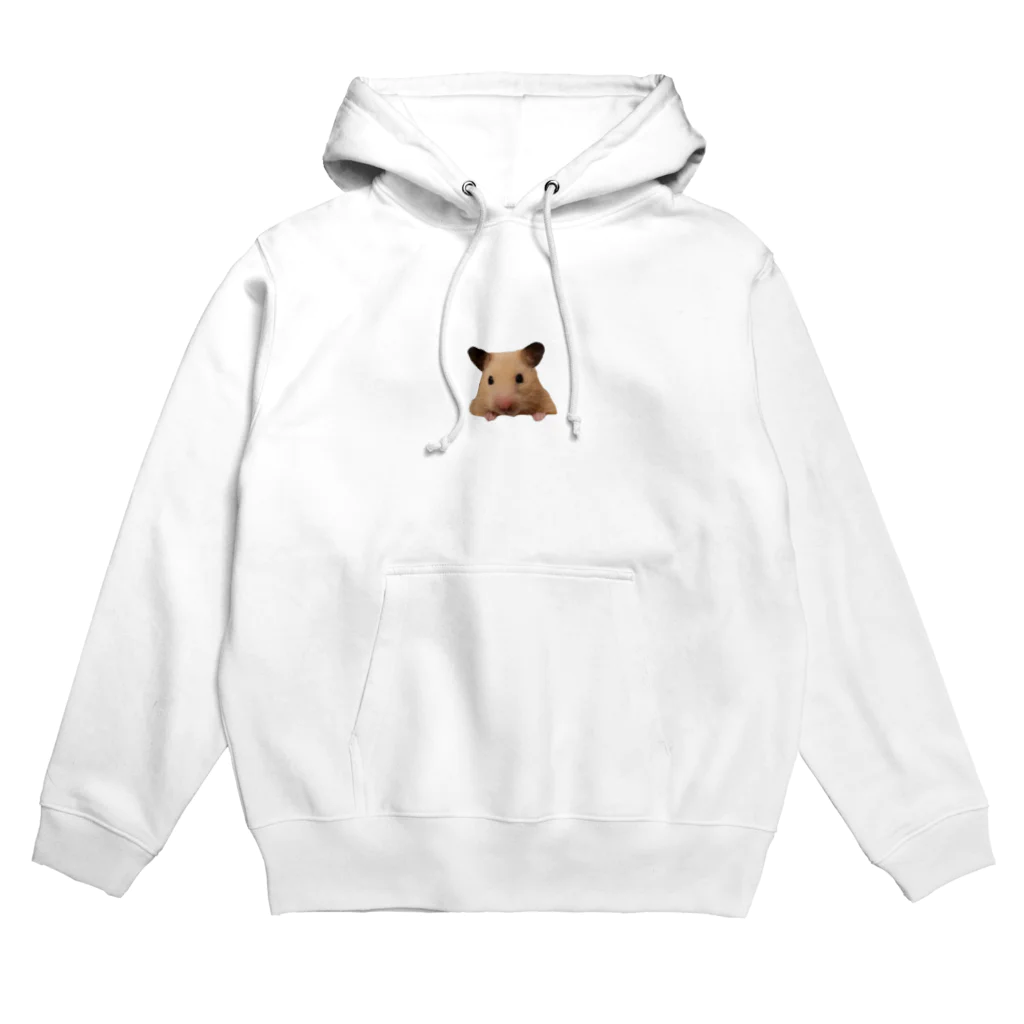 ぽちのひょっこりぽち Hoodie