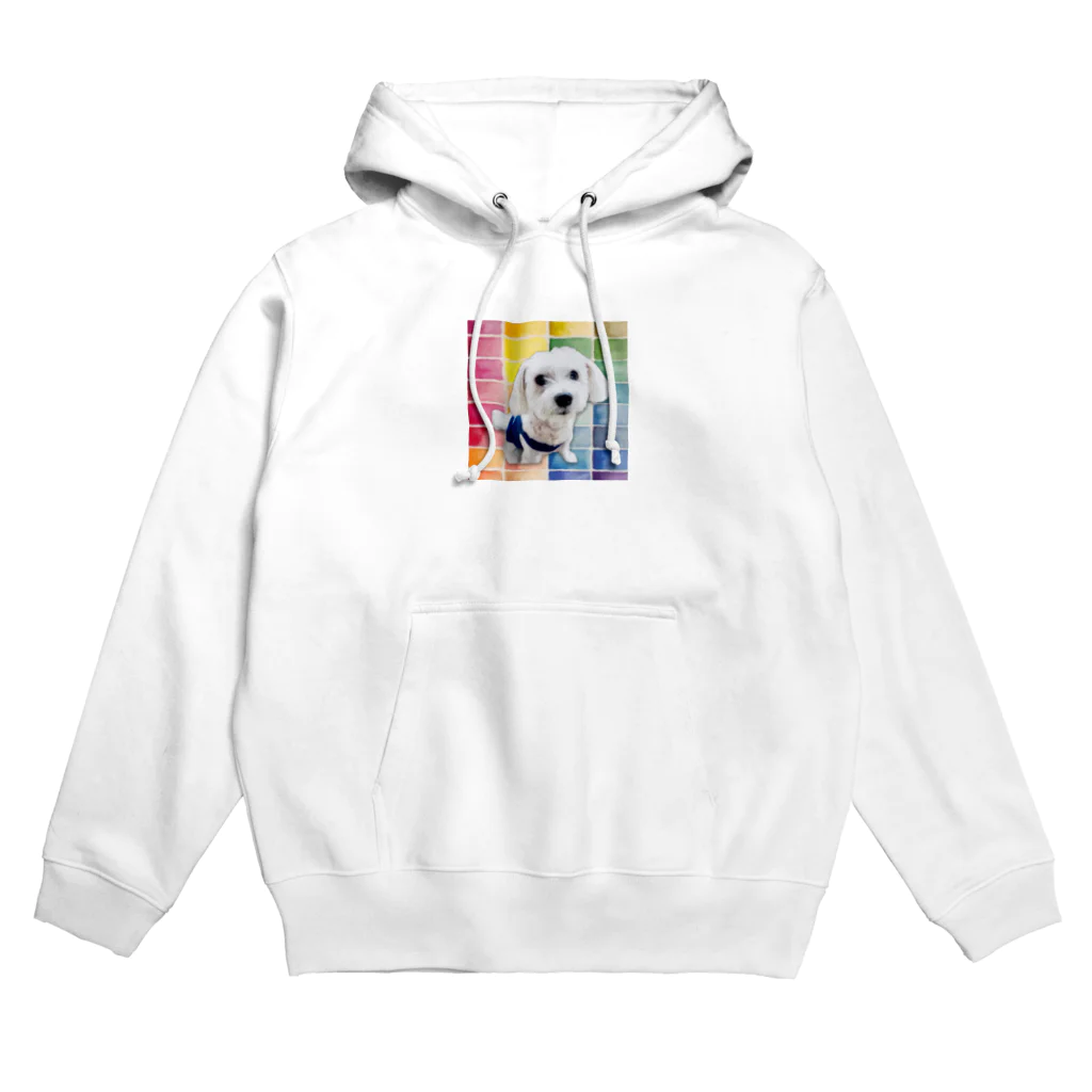 バーニーズマウンテンドッグのダンロのマルチーズ  Hoodie