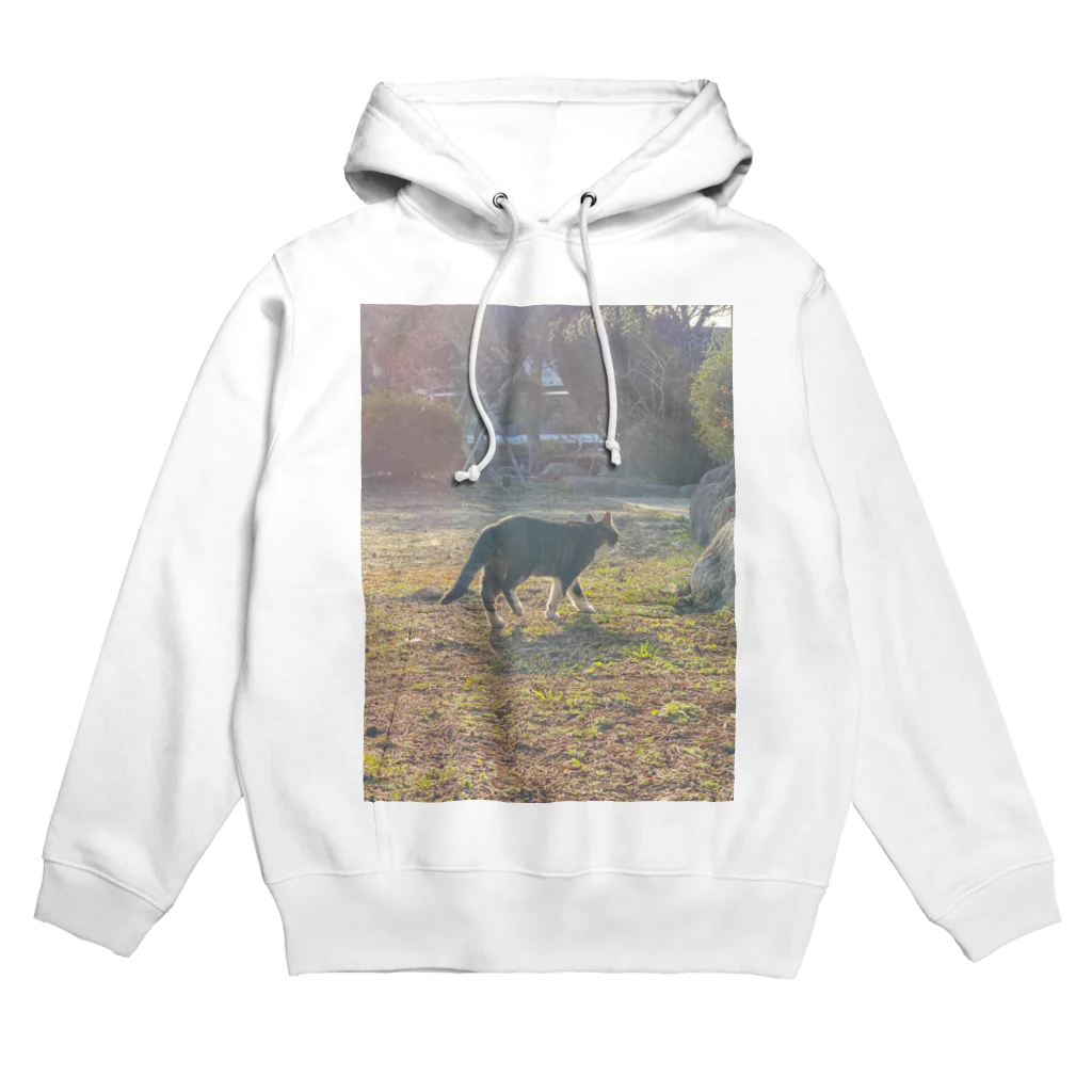 じゃがたらのエモい猫 Hoodie