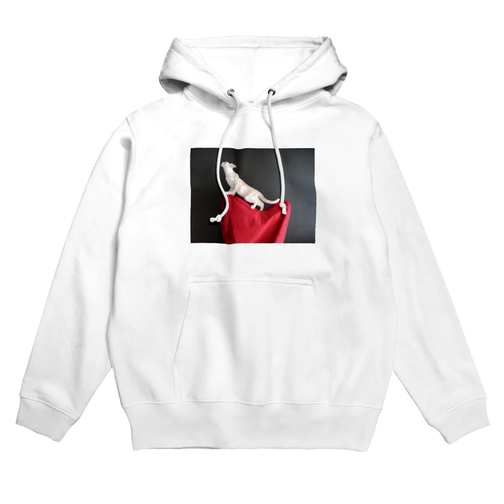 Arteのハープに登頂するねこ Hoodie