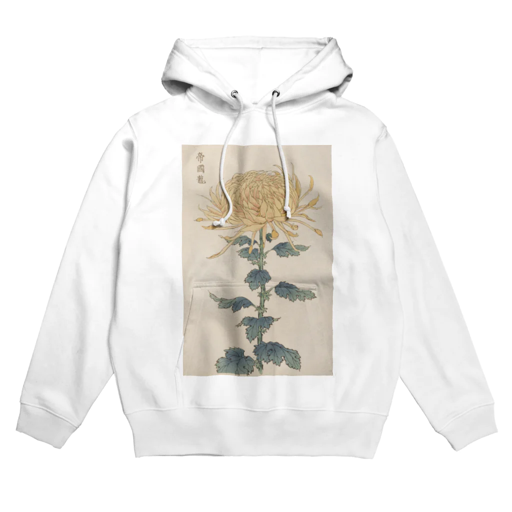 章わんぱく農園の長谷川契華「帝國龍」 Hoodie