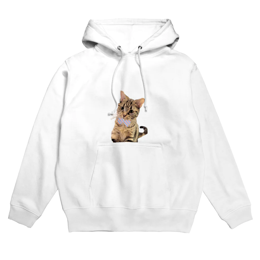 ねこといろいろの気まぐれにゃんこ Hoodie