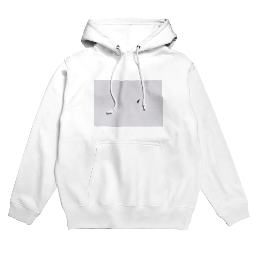 七海の月 Hoodie