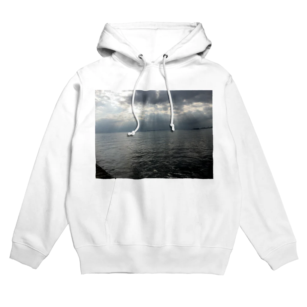 MSDの海 Hoodie