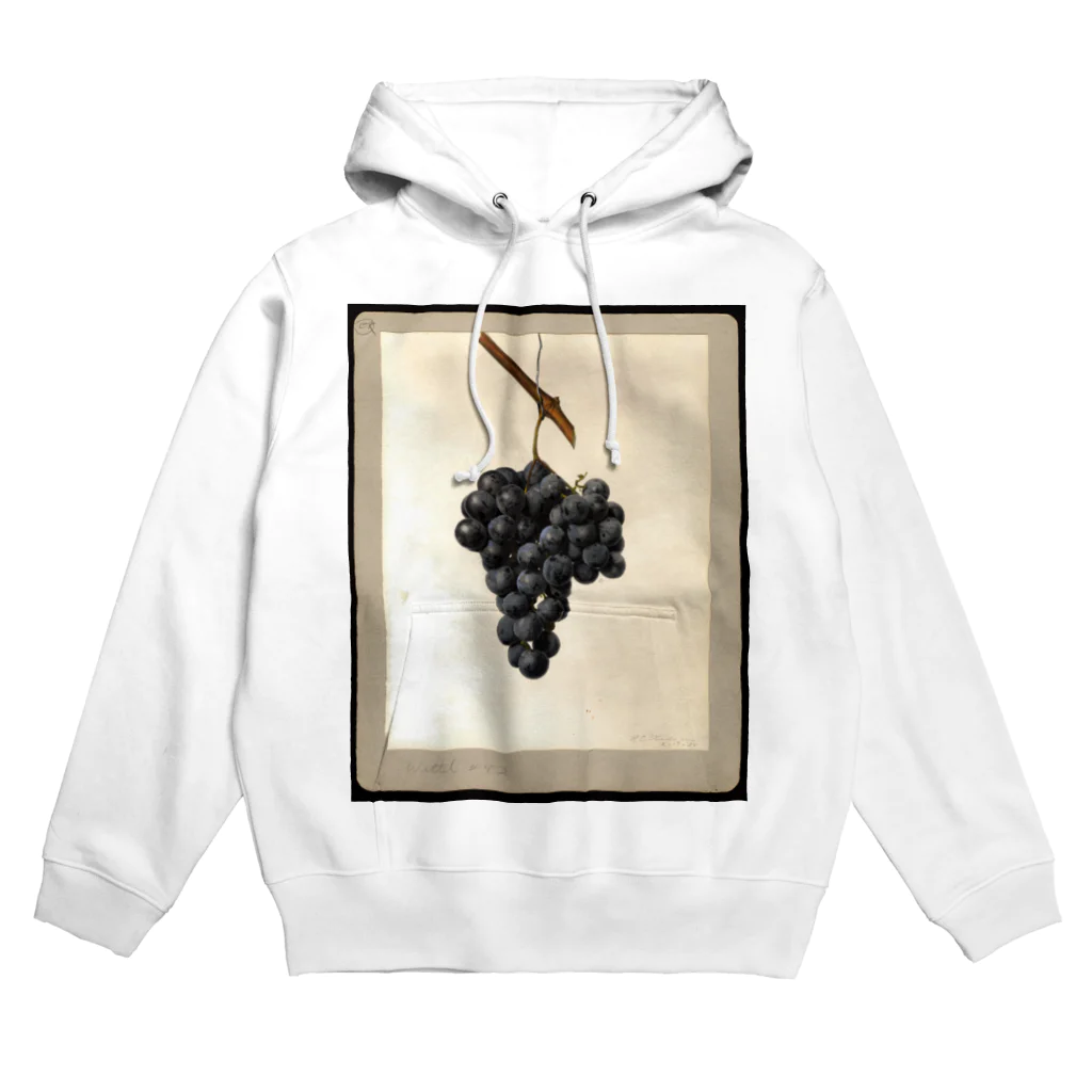 ArtShirtのVitis: Wittel No. 42 Hoodie