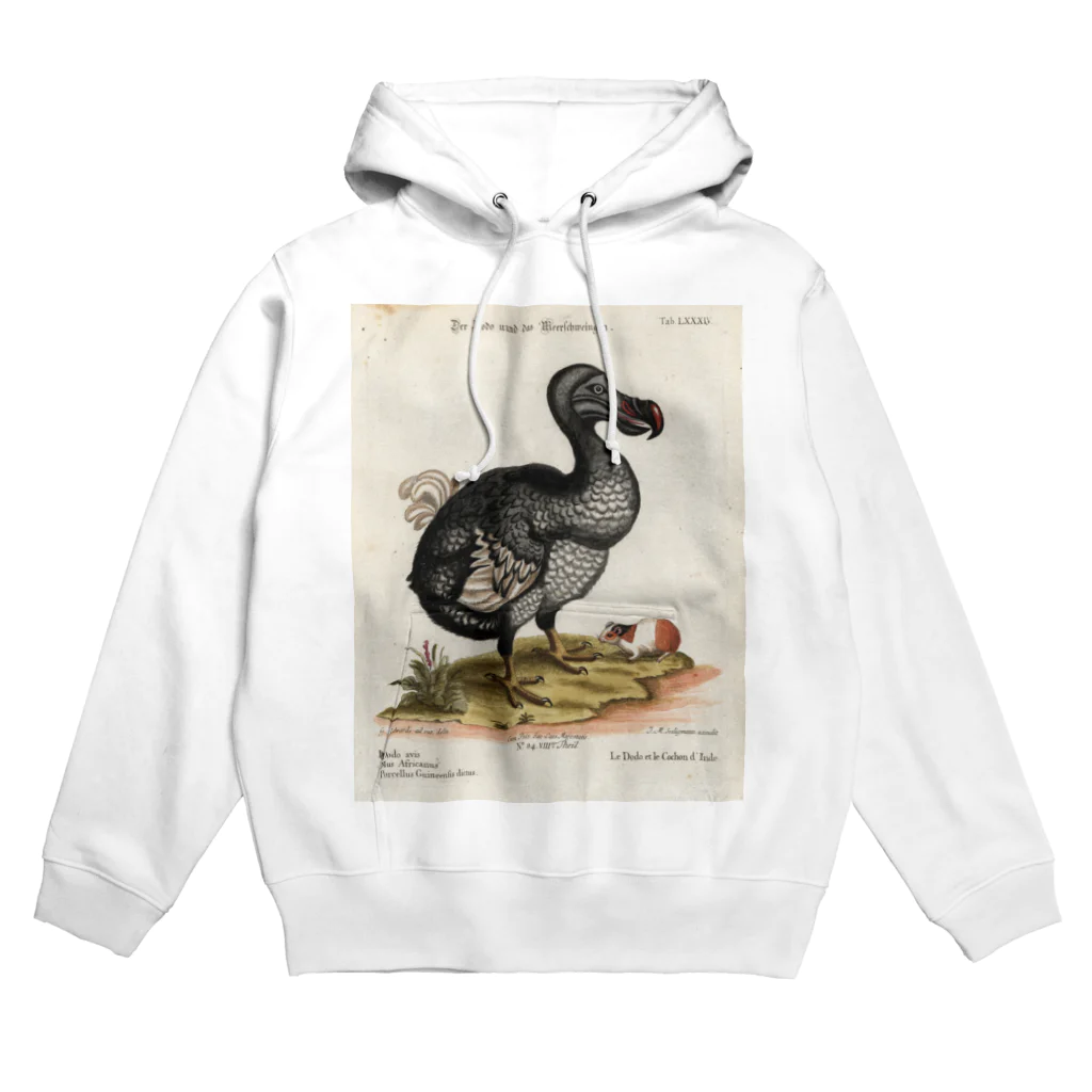 J. Jeffery Print Galleryの絶滅の鳥　ドードー Hoodie