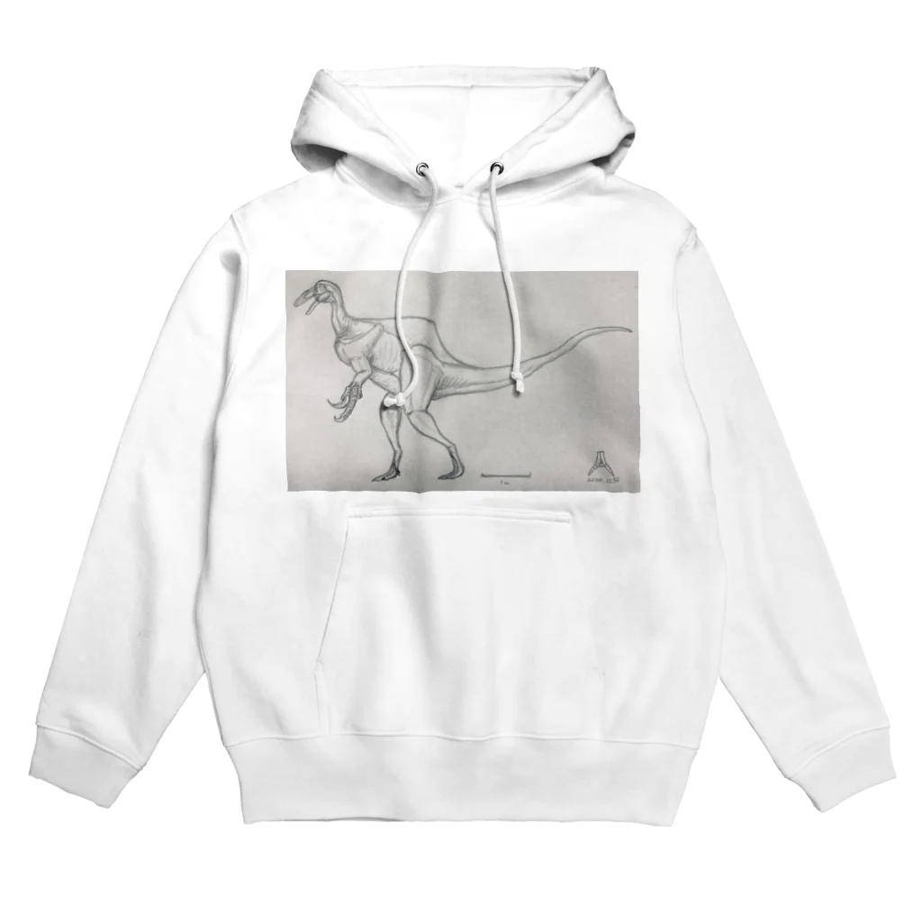 Alectroのテラトスミルス・ミラビリス Hoodie