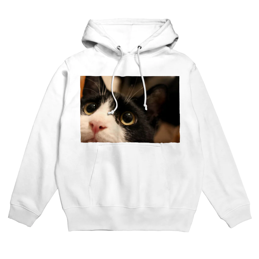 ねこの下僕のぶうちゃん Hoodie