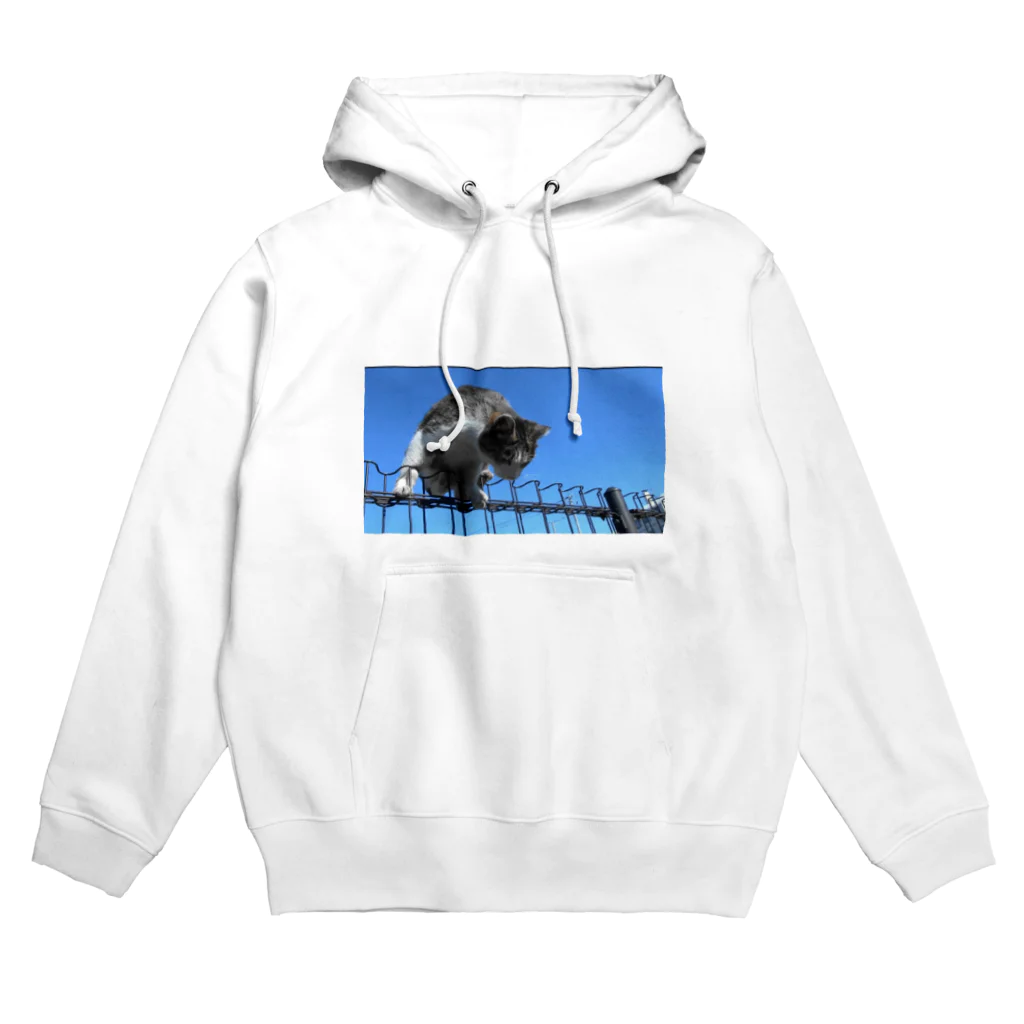 ながしっぽ from.さくらねこの家のながしっぽ　type.C Hoodie