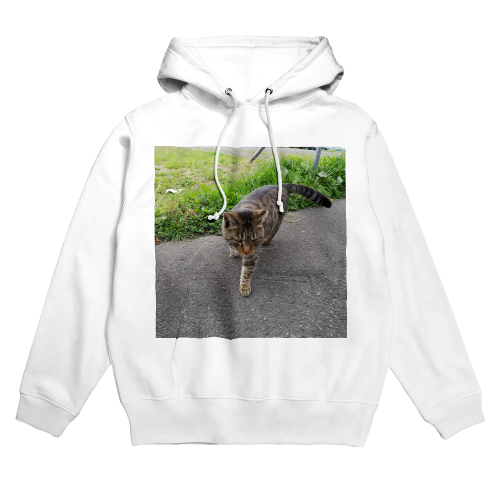 ながしっぽ from.さくらねこの家のとらちゃん　type.D Hoodie