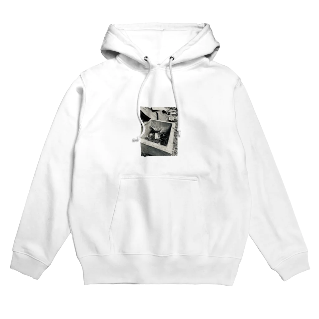 初期設定の古井戸 Hoodie