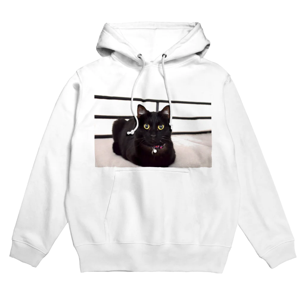 黒猫のうめたんの黒猫のうめたん Hoodie