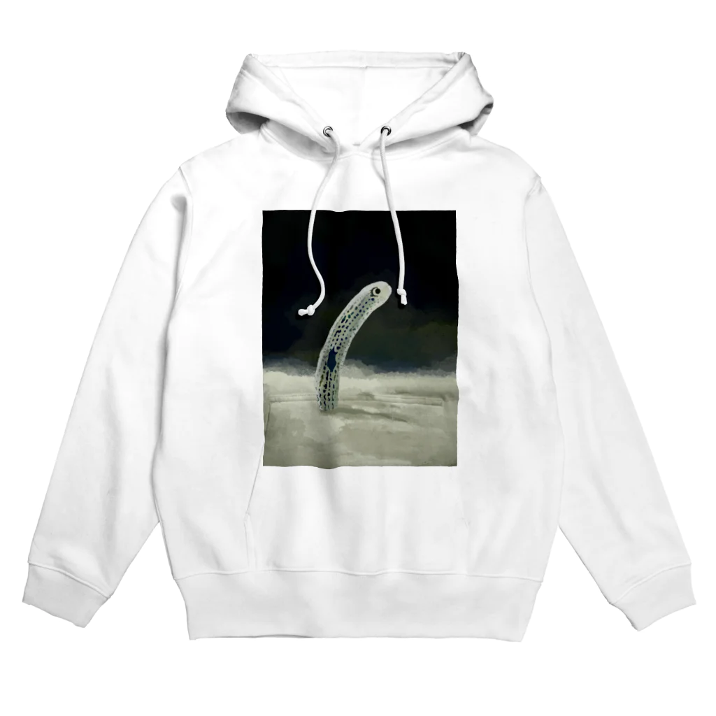 【NICE EEL】チンアナゴのブランドショップのNICE EEL Hoodie