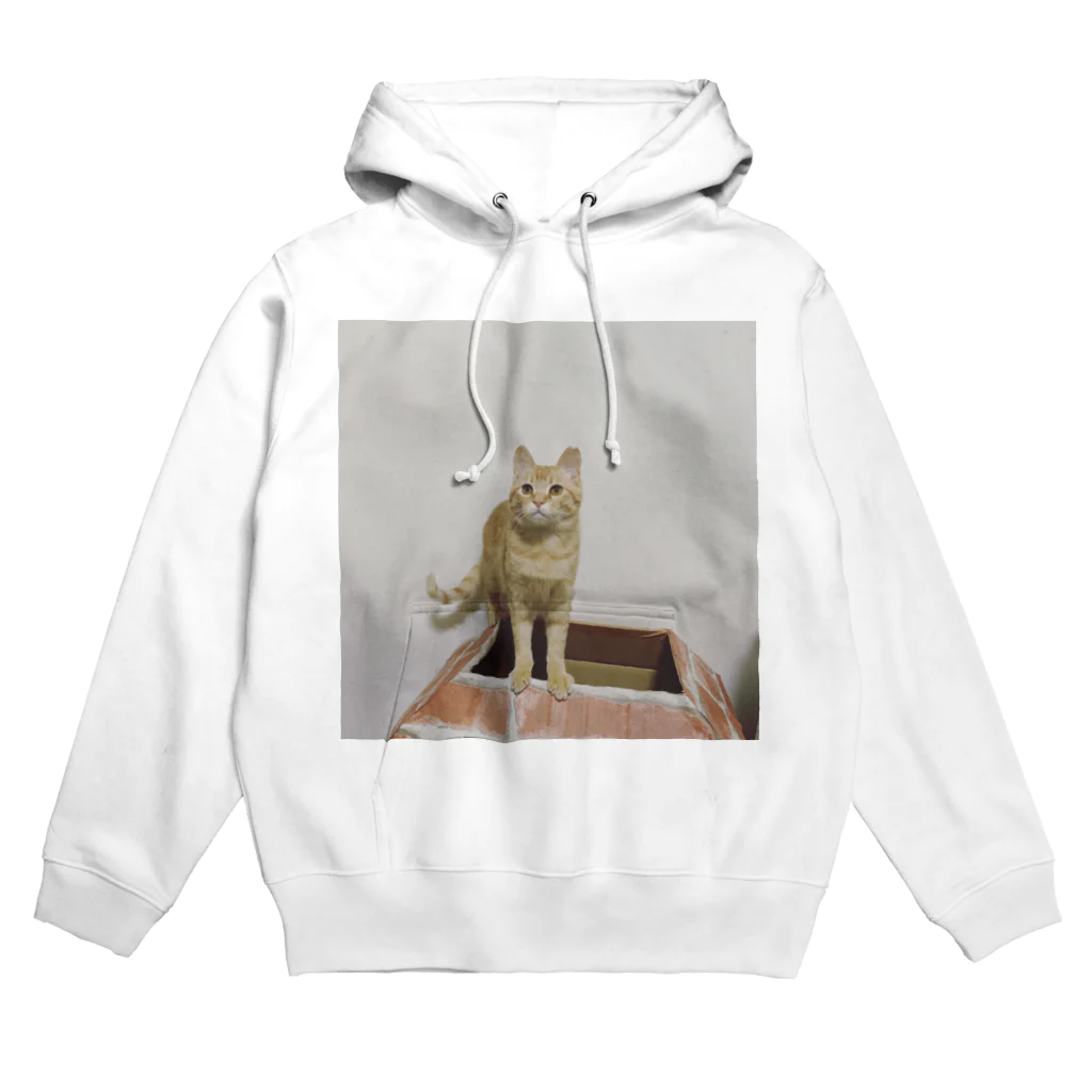 hikanunのumechiyo Hoodie