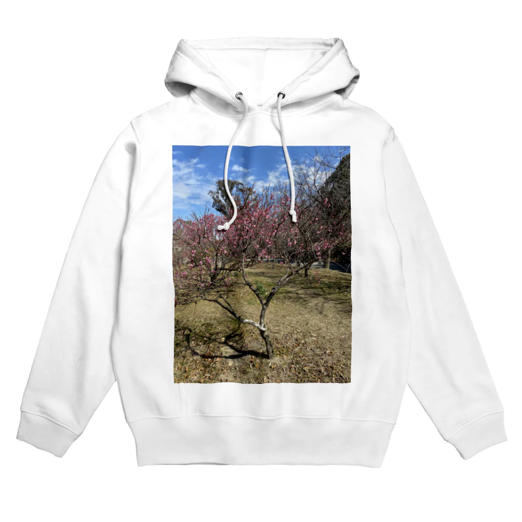 heart-Chanelの梅の花 Hoodie