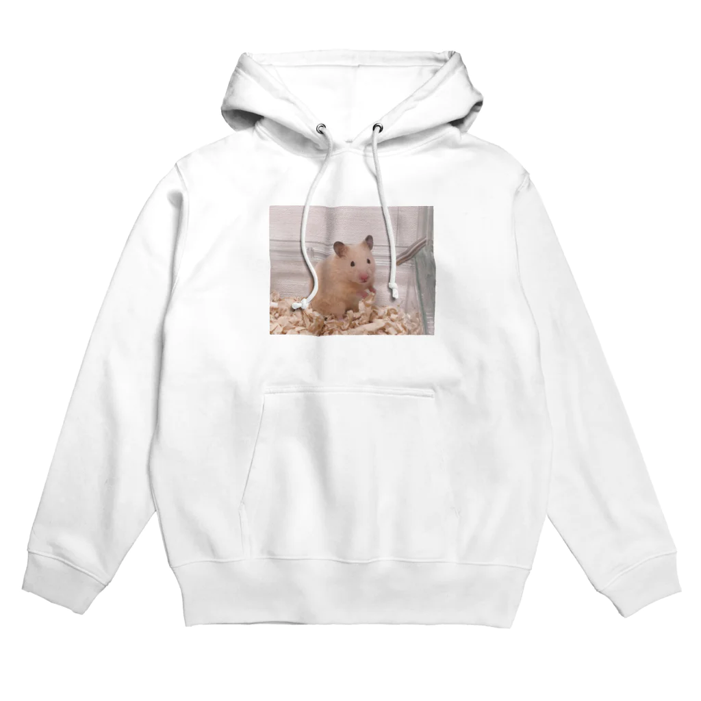 アパレルキンタのアパレルキンタ Hoodie