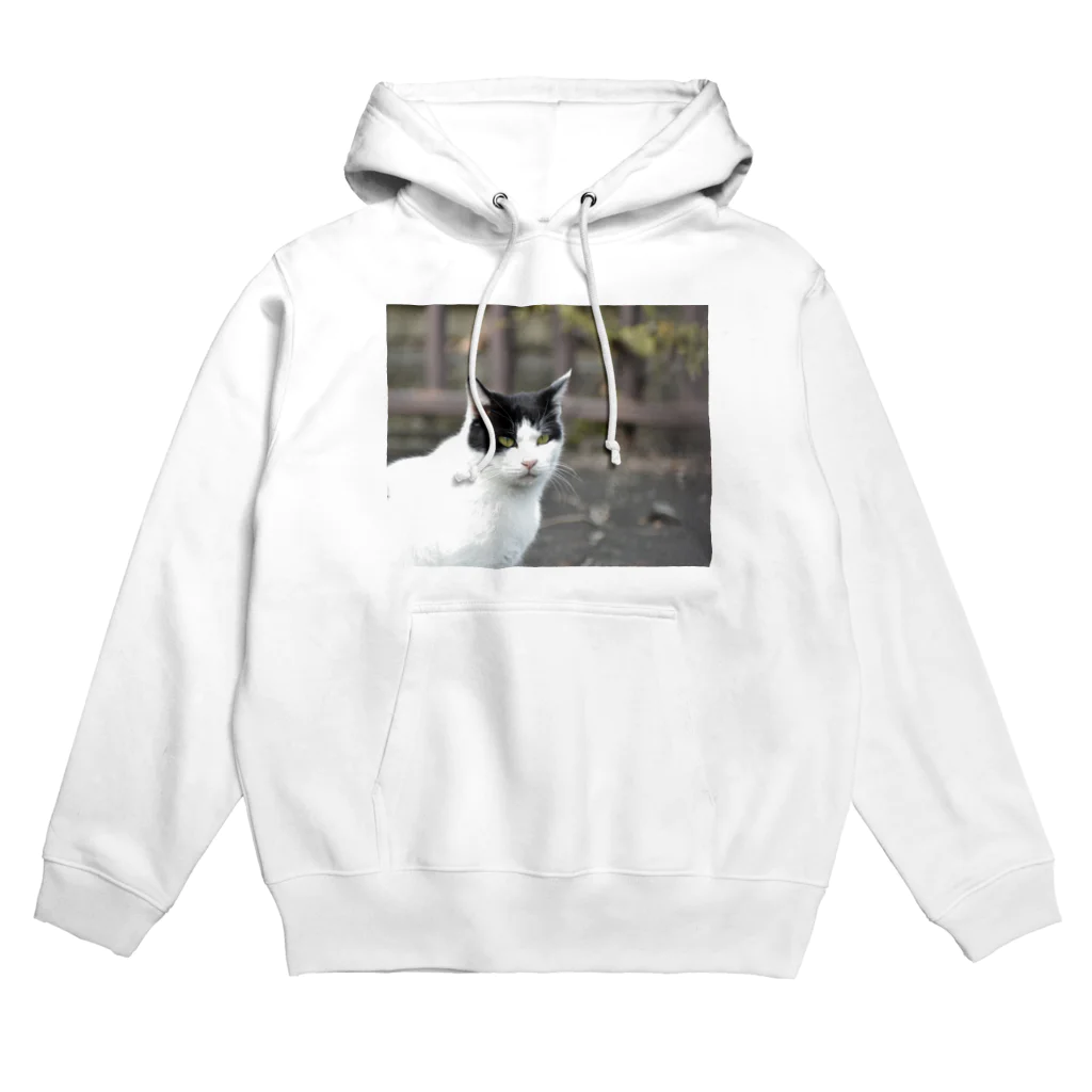 ぺてぃもーずのおみせのネコ Hoodie