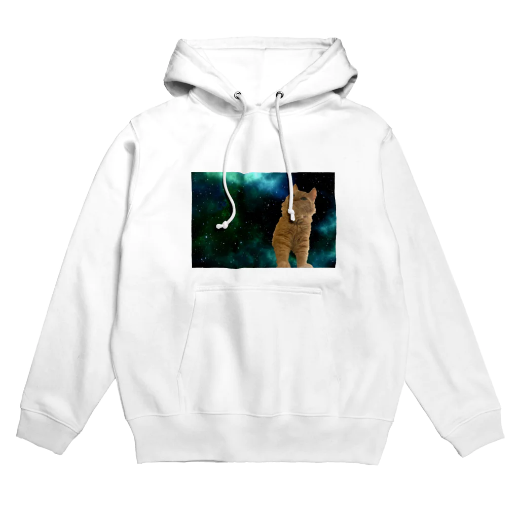 メイロの宇宙タマ Hoodie