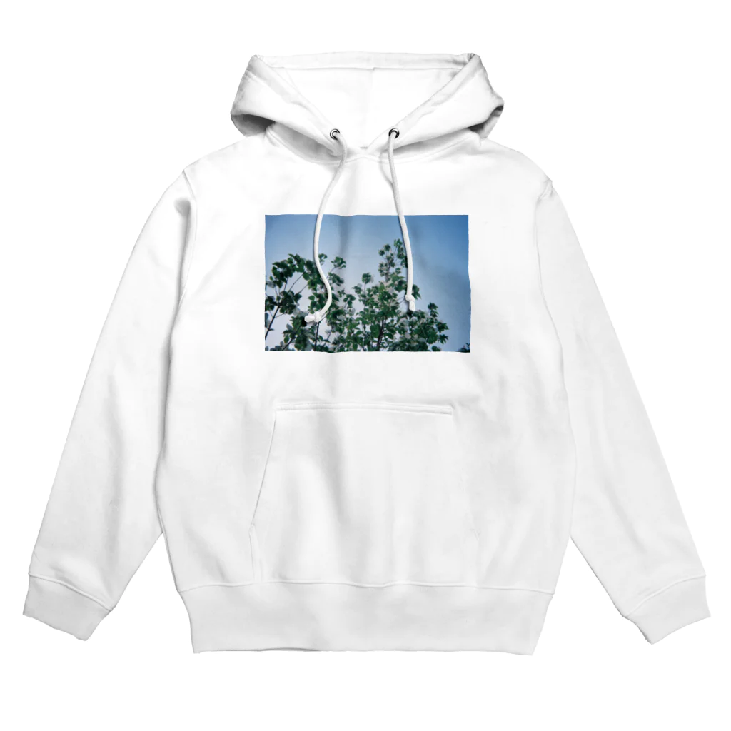 HINAKOのハナミズキ Hoodie