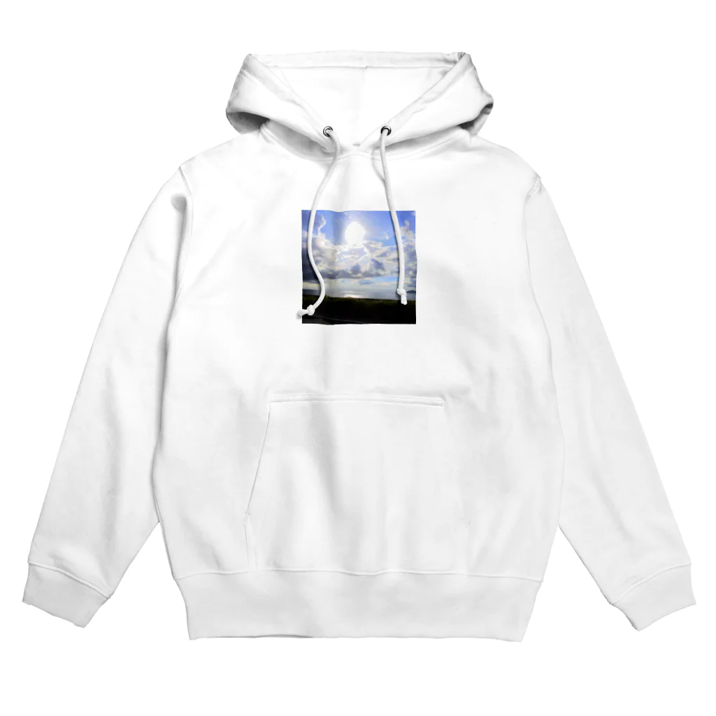 MAG3beagleの南国ocean Hoodie