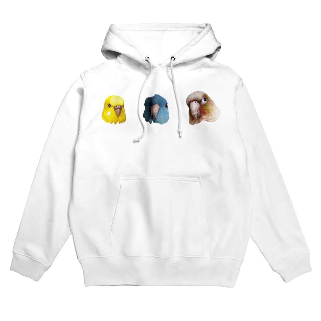 キム子商店のインコ3きょうだい_02 Hoodie