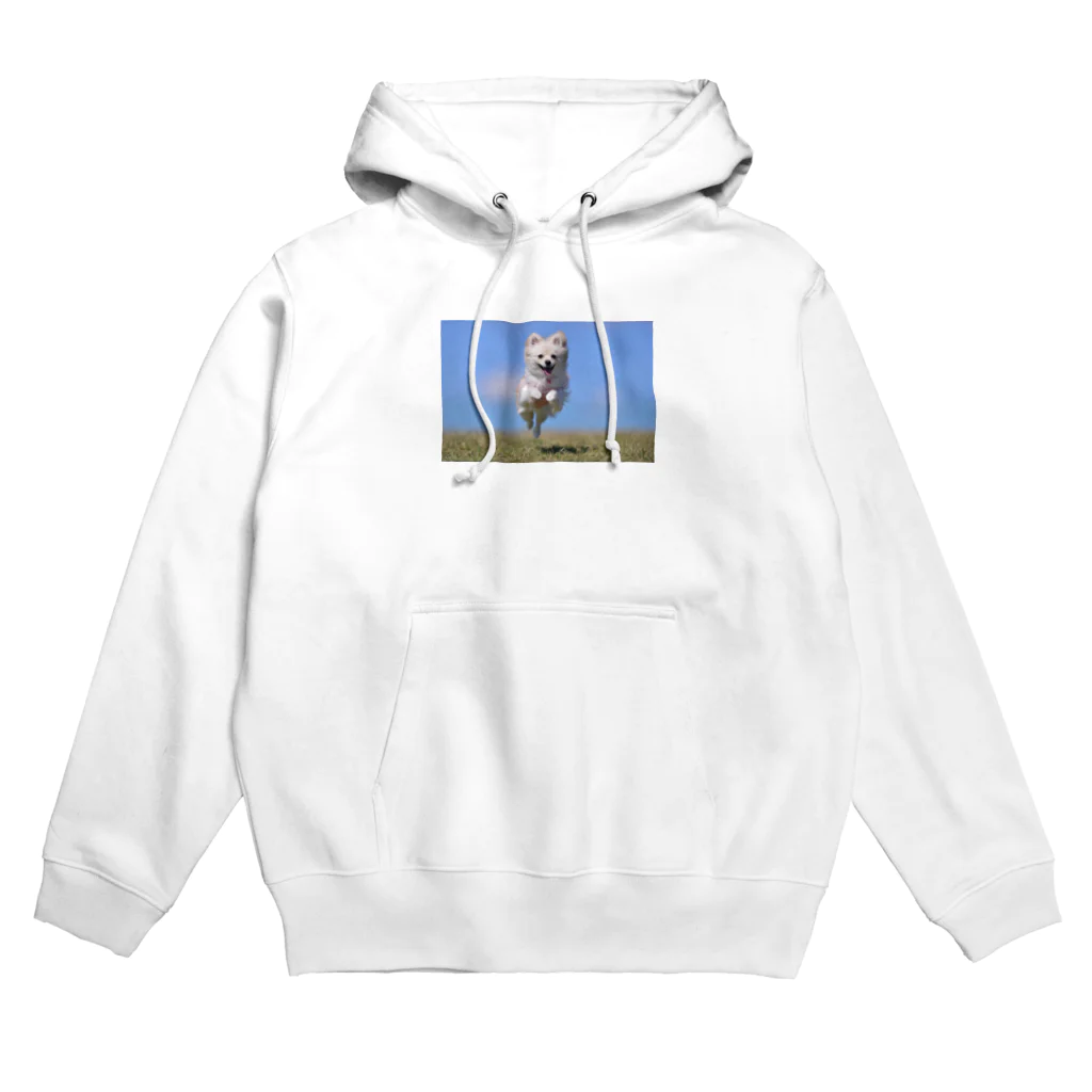 kona_yyyのコナは超飛行犬 Hoodie