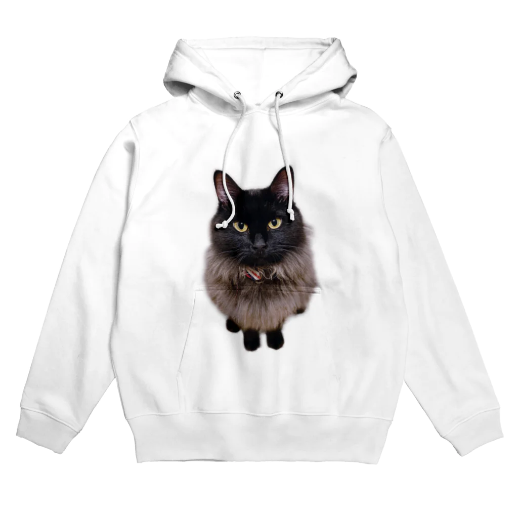 ぐるぐるにゃーにゃのくろ猫まりも 1 Hoodie