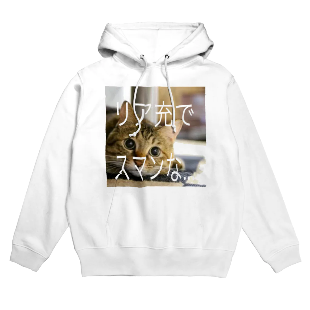 satake☆キジ猫のリア充な猫 動物 Hoodie