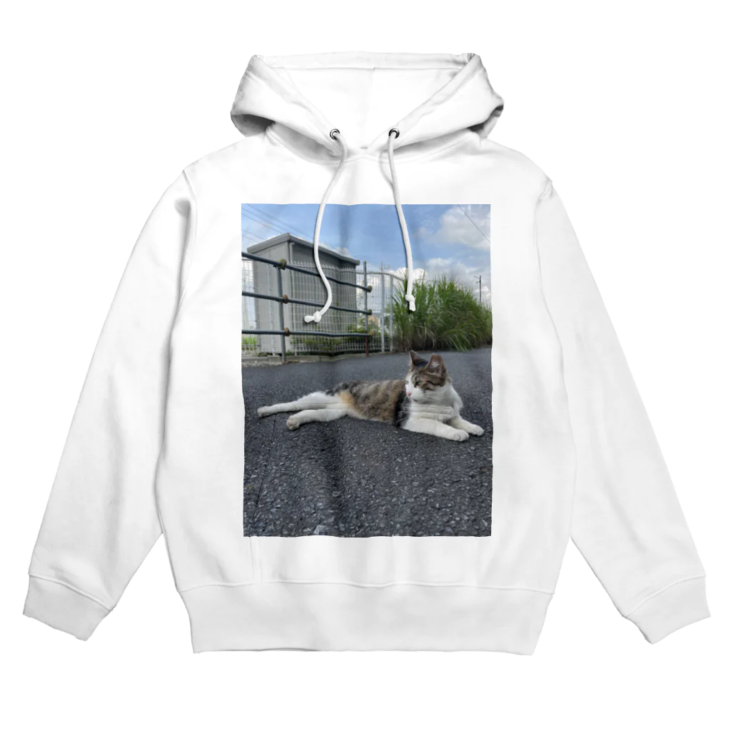 ながしっぽ from.さくらねこの家のながしっぽ　type．Ｉ Hoodie