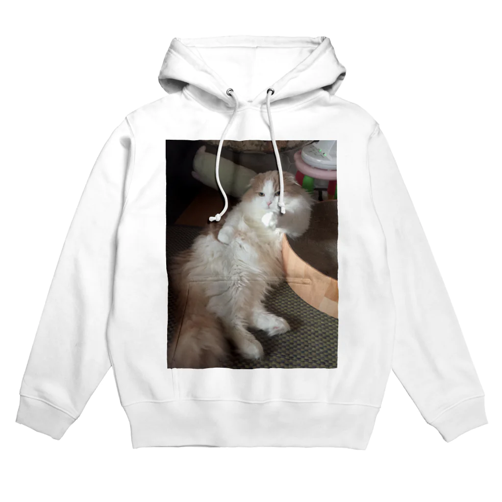 nyannyan9の人間みたいなロィ Hoodie