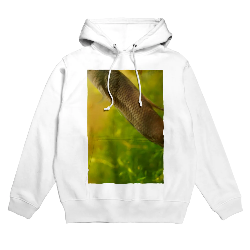 ククラスのワイルドベタ1 Hoodie