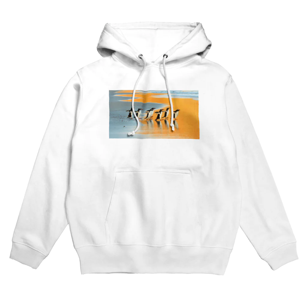 Country revolutionariesのペンギングッズ Hoodie