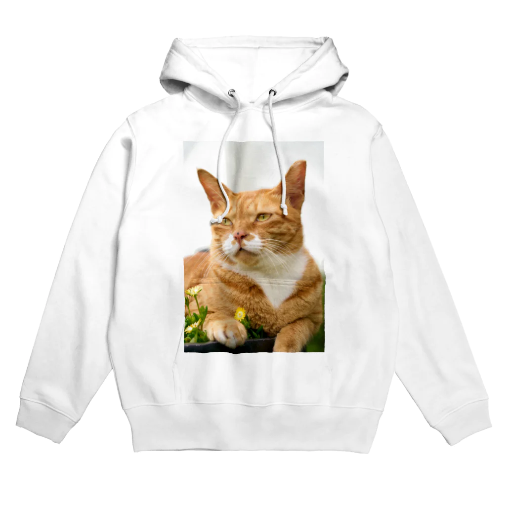 猫写真家「むに」のアトリエの花と猫 Hoodie