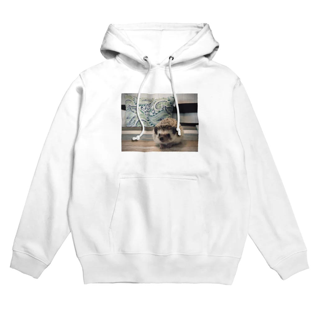 dodomaのはりねずみぴかちゃん Hoodie