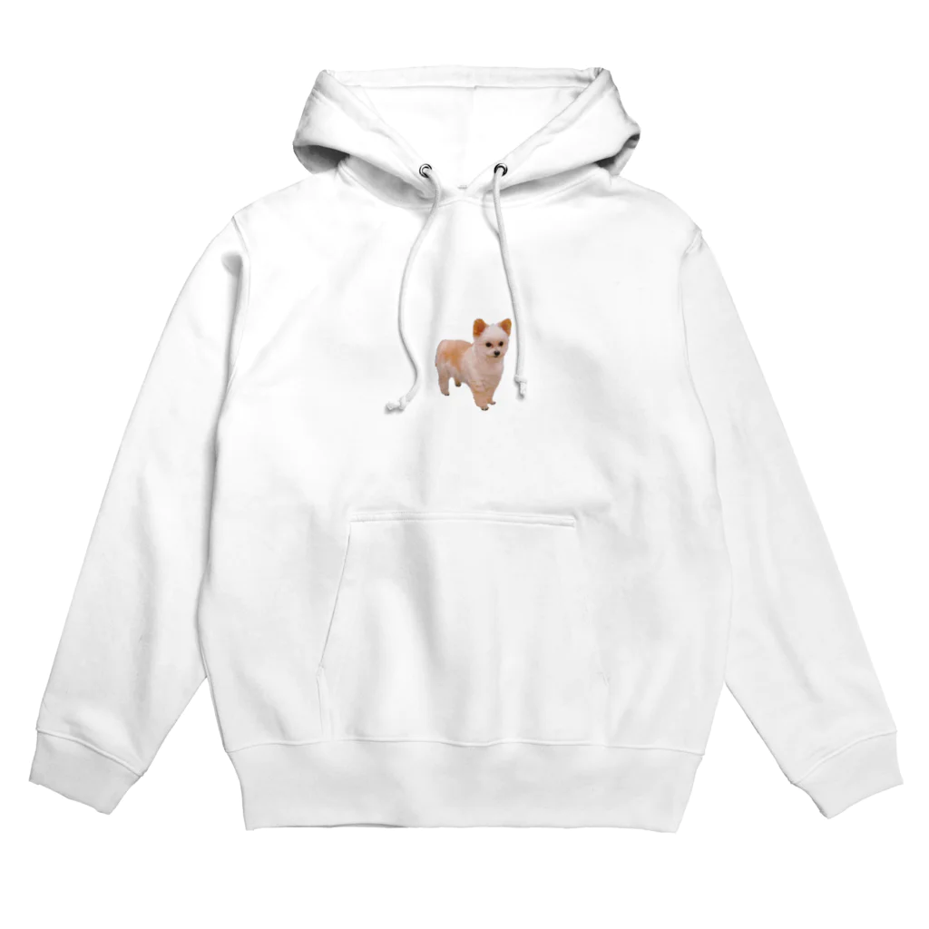 いぬいぬショップのいぬぽっけ Hoodie